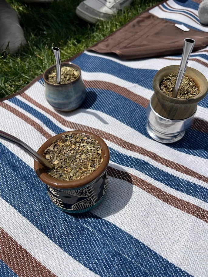 Mates on a picnic blanket in Central Park